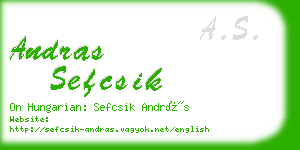 andras sefcsik business card